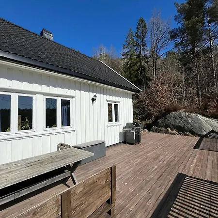 Ferienhaus Snemyr I